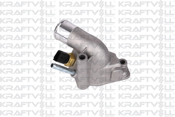 Thermostat, coolant (08100046)
