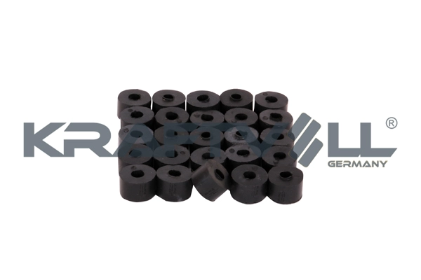 Mounting, control/trailing arm (10060148)