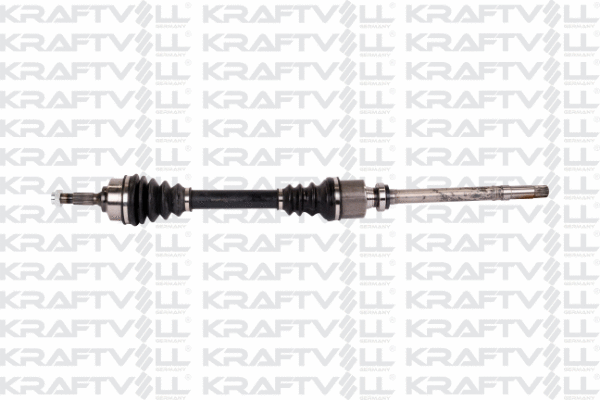Drive Shaft (01010055)