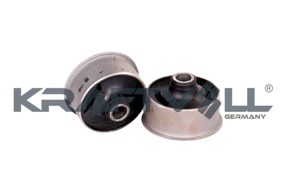 Holder Set, radiator grille (10050024)
