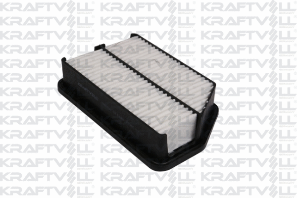Air Filter (06010256)