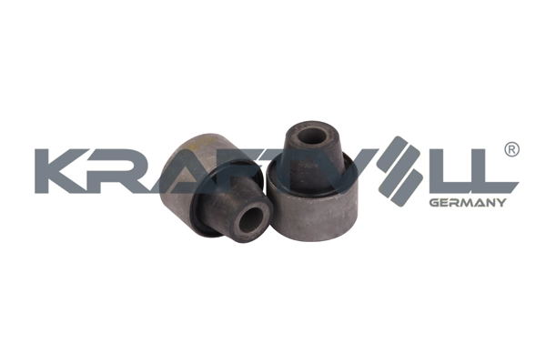 Shock Absorber (10050199)