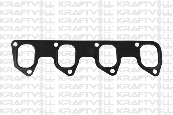 Gasket, intake manifold (12010120)