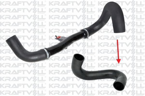 Charge Air Hose (10031112)