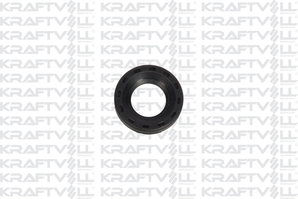 Seal Kit, injector nozzle (10060376)