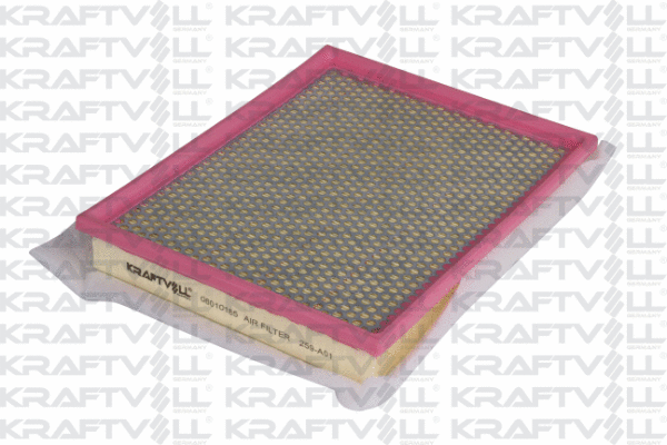 Air Filter (06010185)