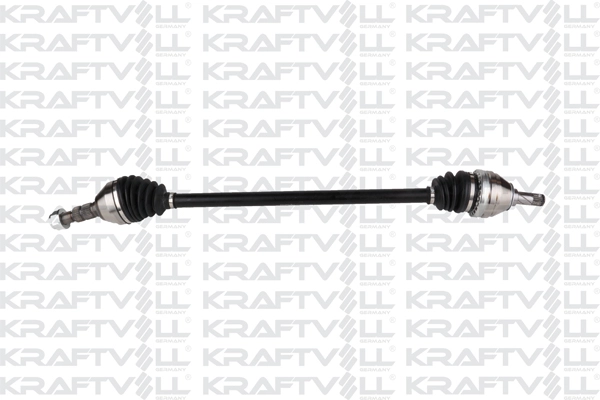 Drive Shaft (01010384)