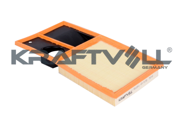 Air Filter (06010043)