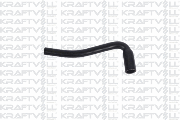 Radiator Hose (10032048)