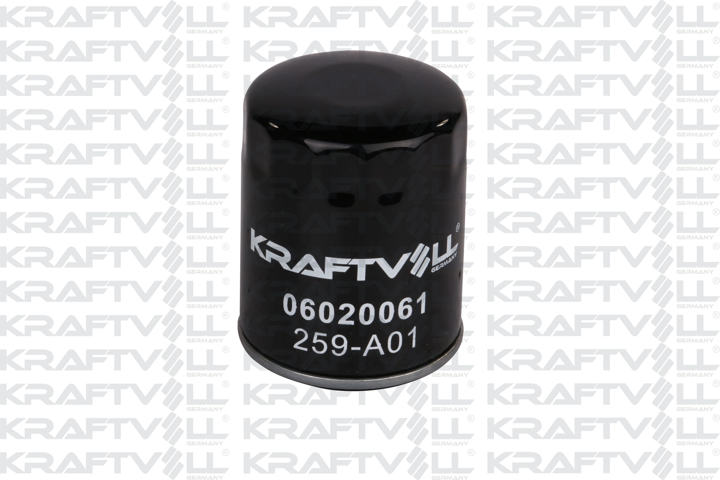 Oil Filter (06020061)