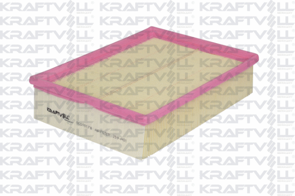 Air Filter (06010178)