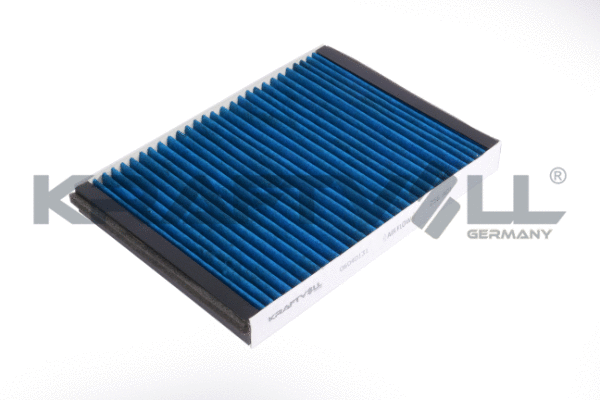 Filter, cabin air (06040131)