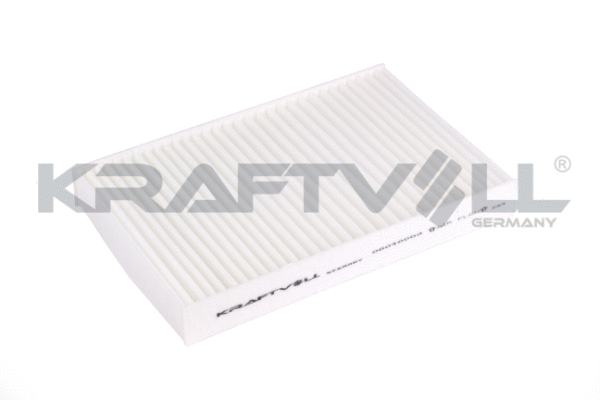 Filter, cabin air (06040009)