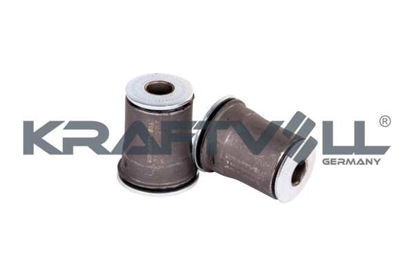 Mounting, control/trailing arm (10050037)