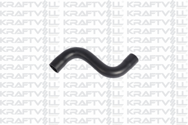 Radiator Hose (10033325)