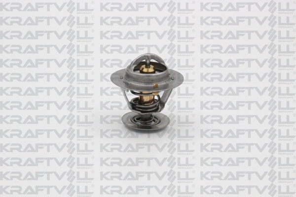 Thermostat, coolant (08110110)