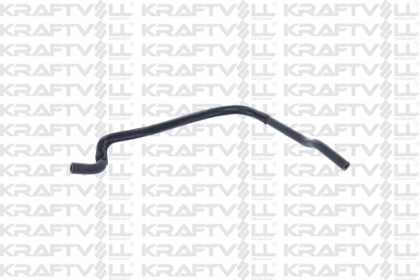 Radiator Hose (10031852)