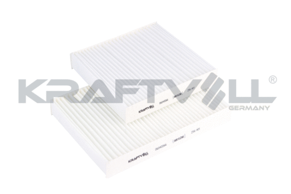 Filter, cabin air (06040066)