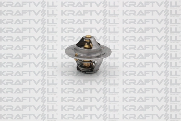Thermostat, coolant (08110086)