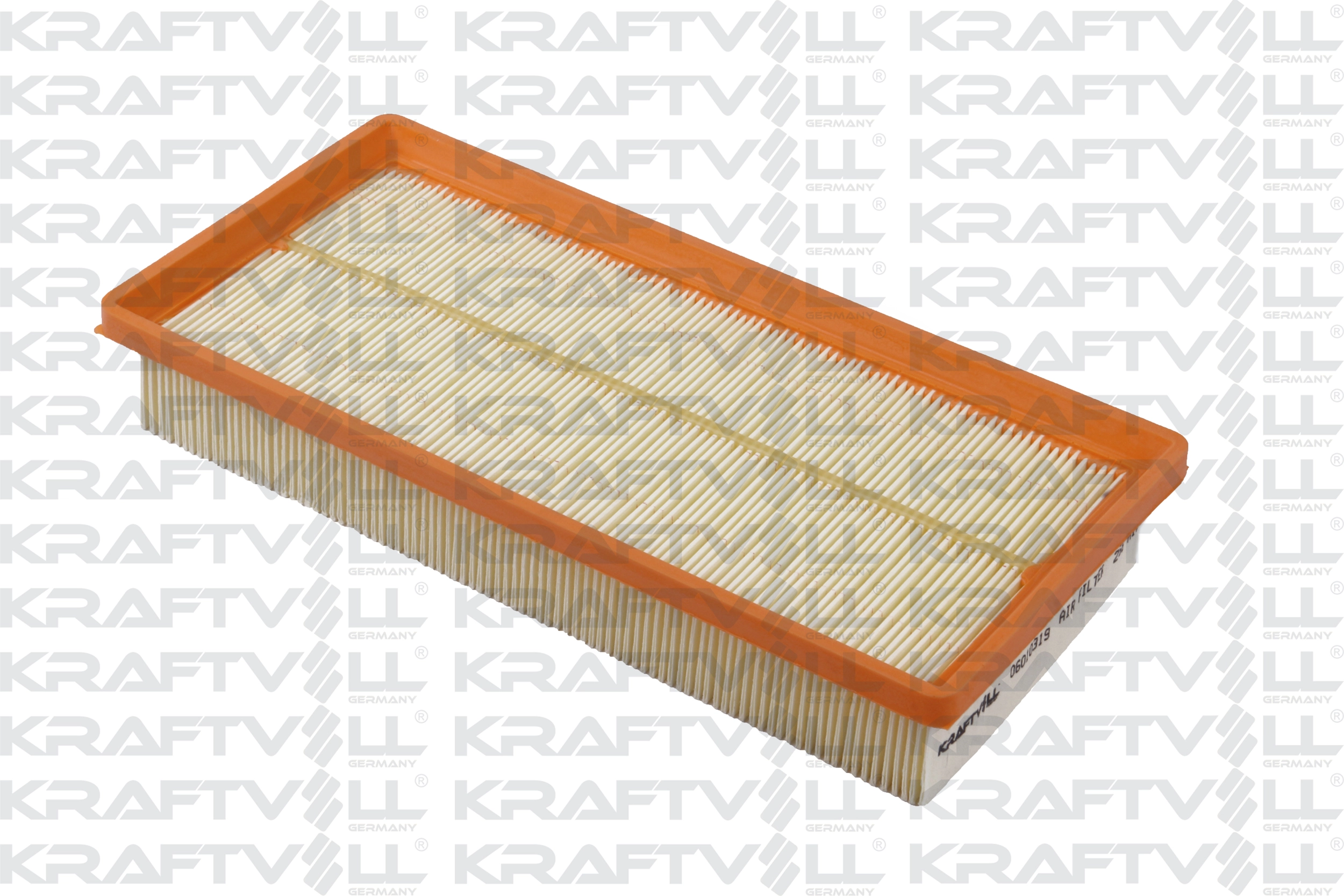 Air Filter (06010319)