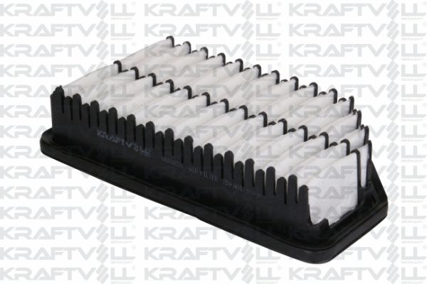 Air Filter (06010231)