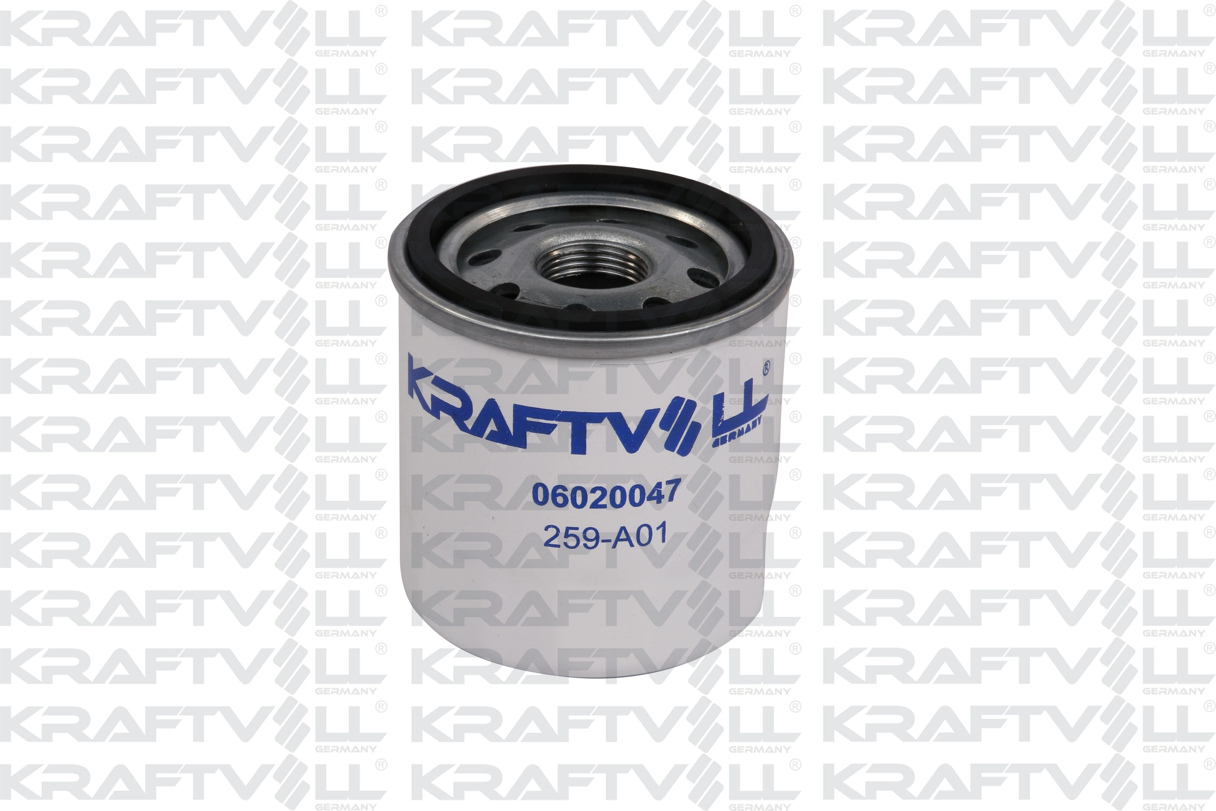 Oil Filter (06020047)