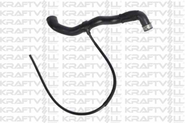 Radiator Hose (10032479)