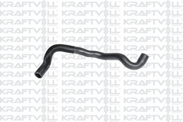 Radiator Hose (10031832)
