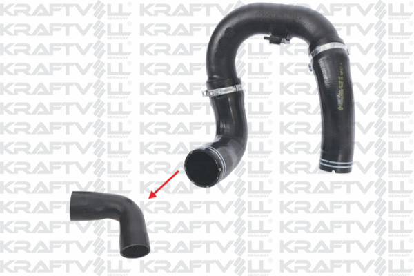 Charge Air Hose (10030873)