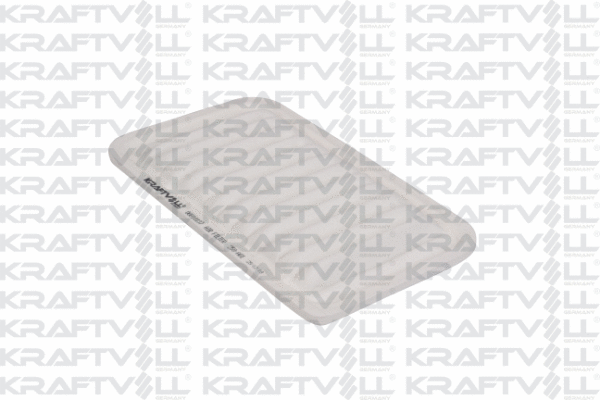 Air Filter (06010137)