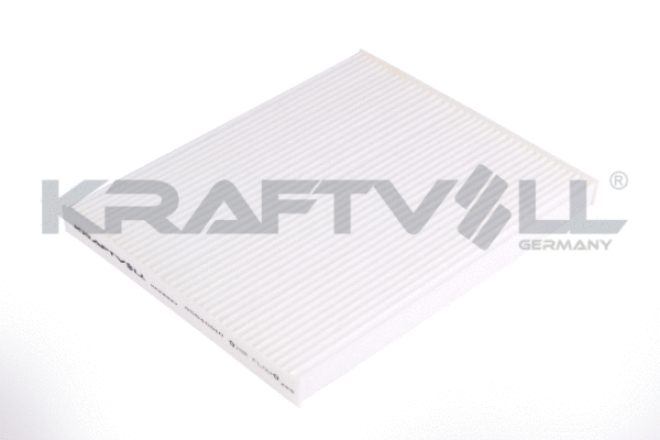 Filter, cabin air (06040010)