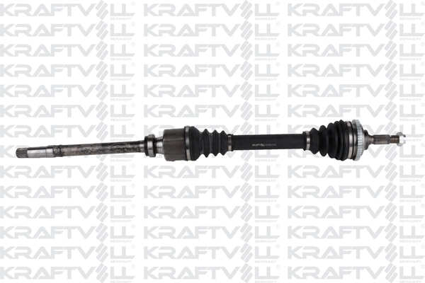 Drive Shaft (01010399)
