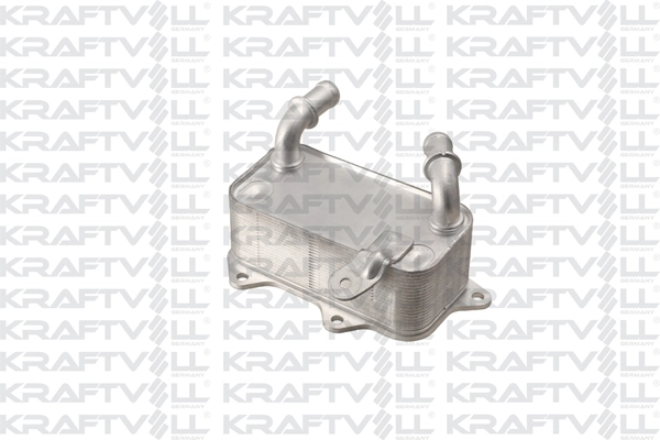 Oil Cooler, engine oil (08090021)