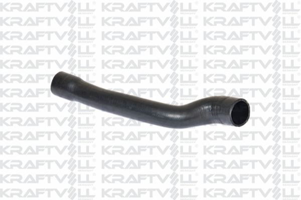 Charge Air Hose (10030972)