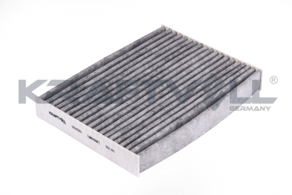 Filter, cabin air (06040081)