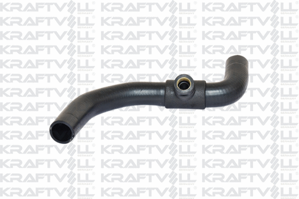 Radiator Hose (10030862)