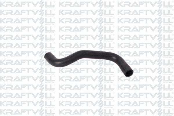 Radiator Hose (10031383)