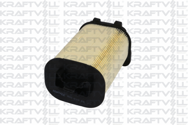 Air Filter (06010261)