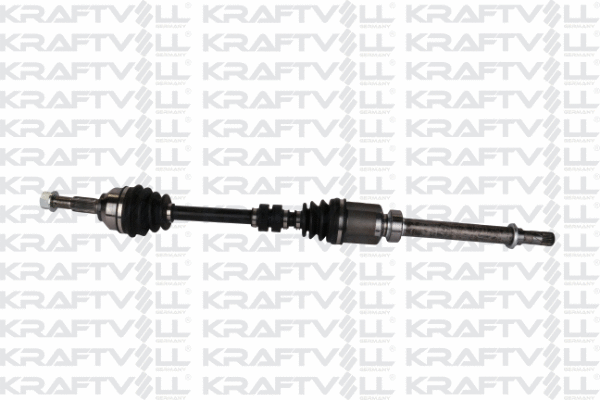 Drive Shaft (01010193)