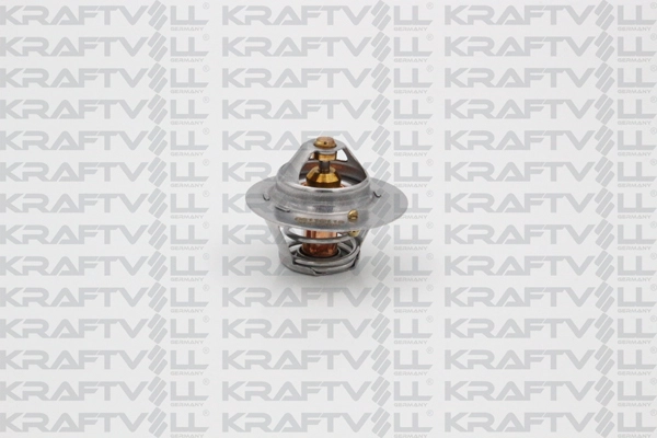 Thermostat, coolant (08110118)