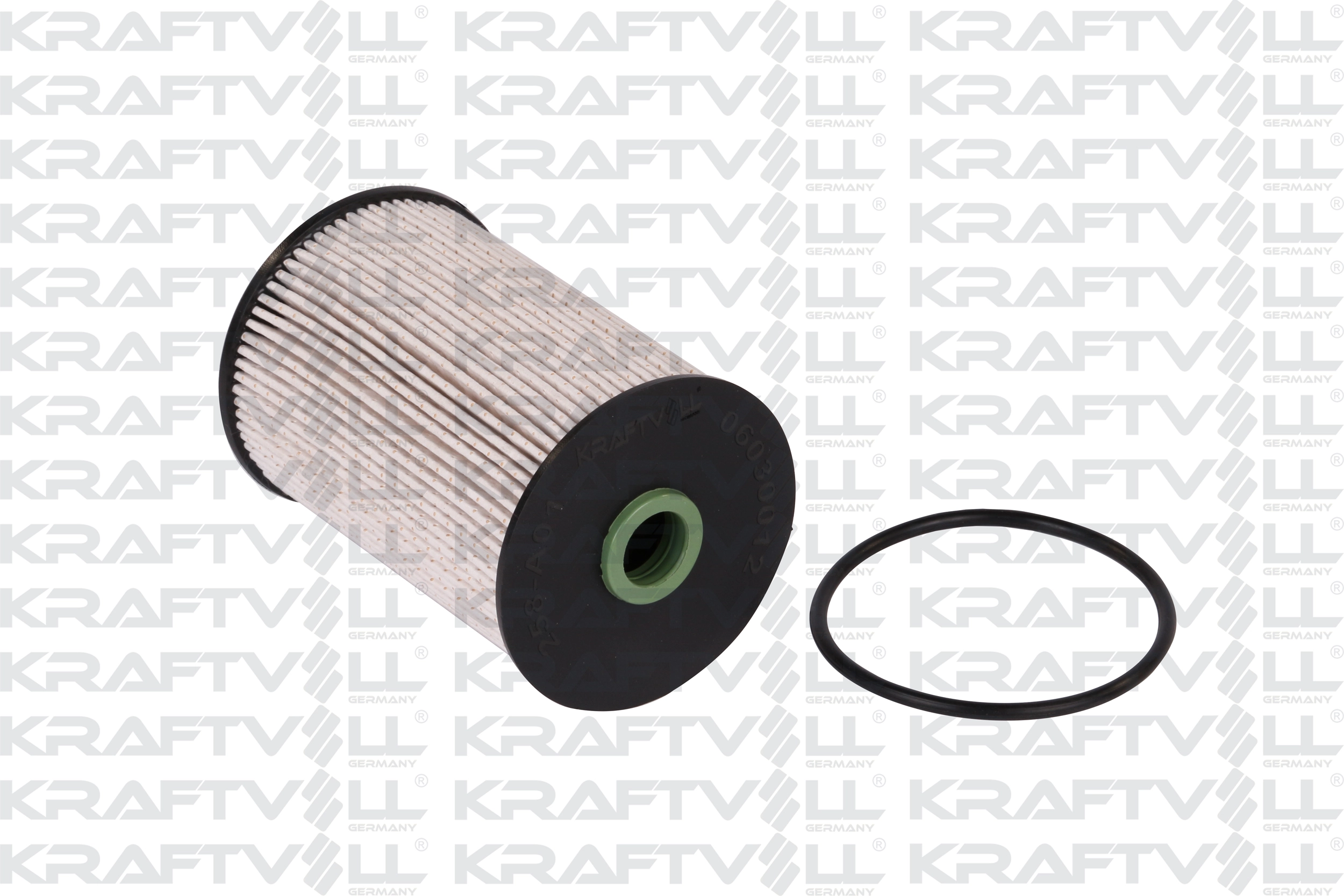 Fuel Filter (06030012)