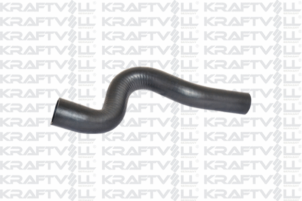 Radiator Hose (10031082)