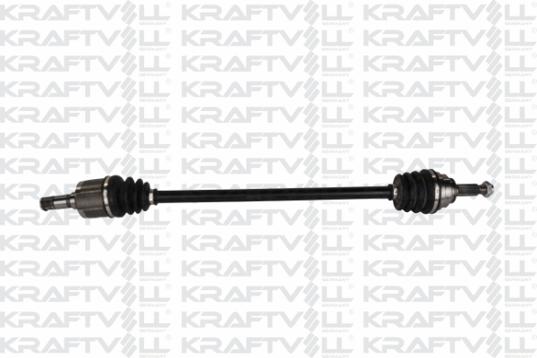 Drive Shaft (01010189)
