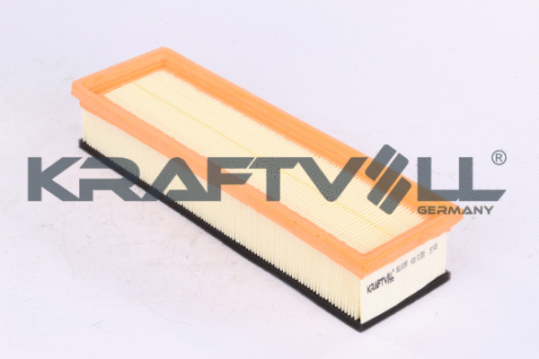 Air Filter (06010098)