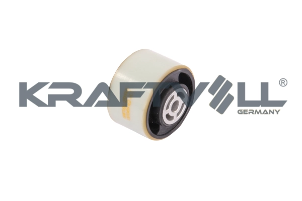 Air Filter (10010499)