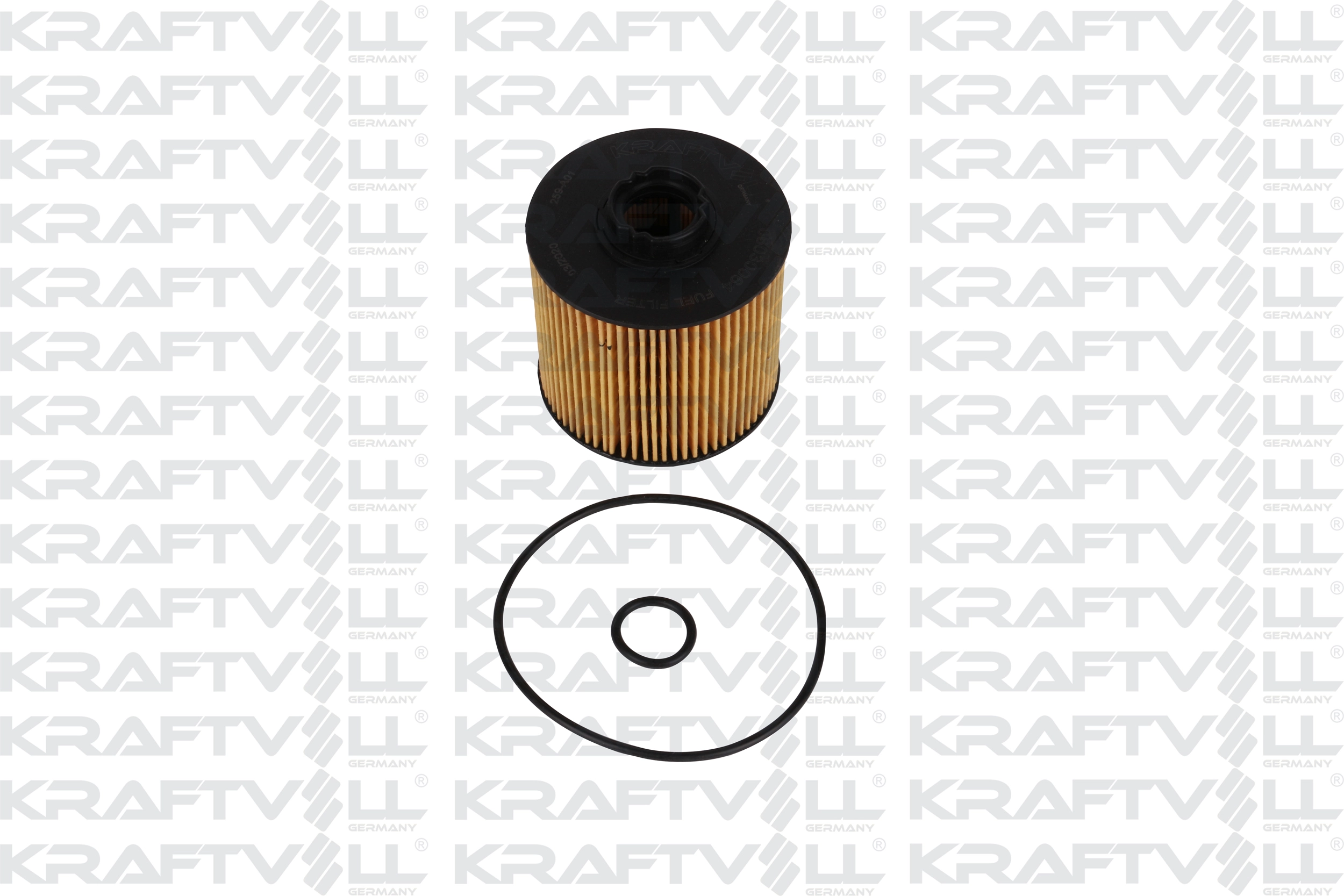 Fuel Filter (06030064)