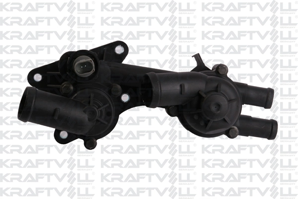 Thermostat, coolant (08100156)
