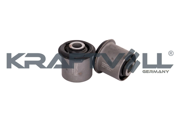 Mounting, control/trailing arm (10050011)