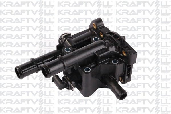 Thermostat, coolant (08100155)