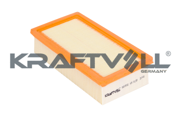 Air Filter (06010032)